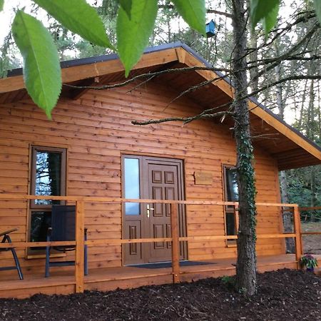 Butterfly Cabin Limerick Junction Exterior foto