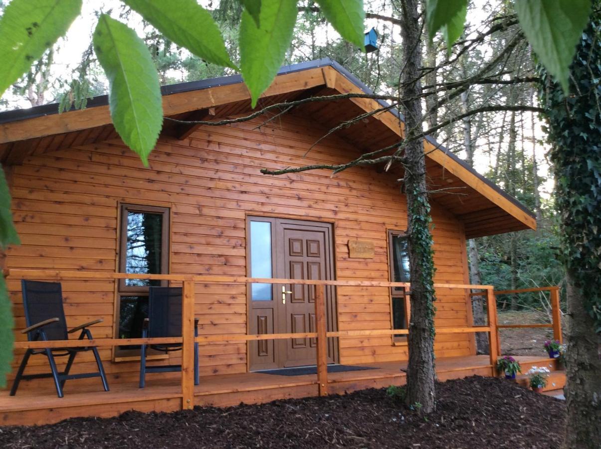 Butterfly Cabin Limerick Junction Exterior foto