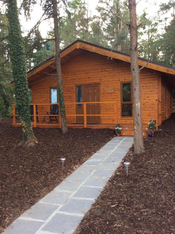 Butterfly Cabin Limerick Junction Exterior foto